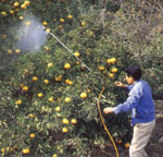 Agriculture Hoses